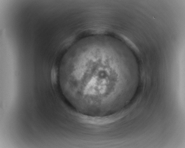 X0000115490026200911131244