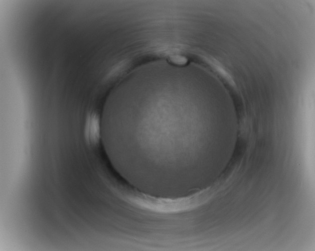 X0000115490027200911131244