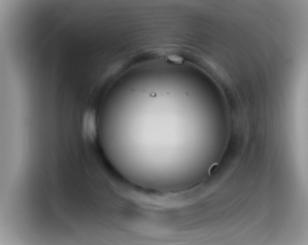 X0000115490028200911131244