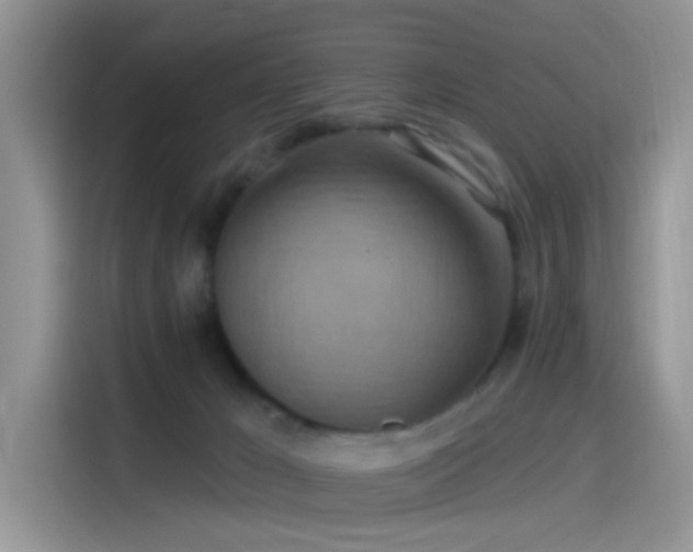 X0000115490029200911131244