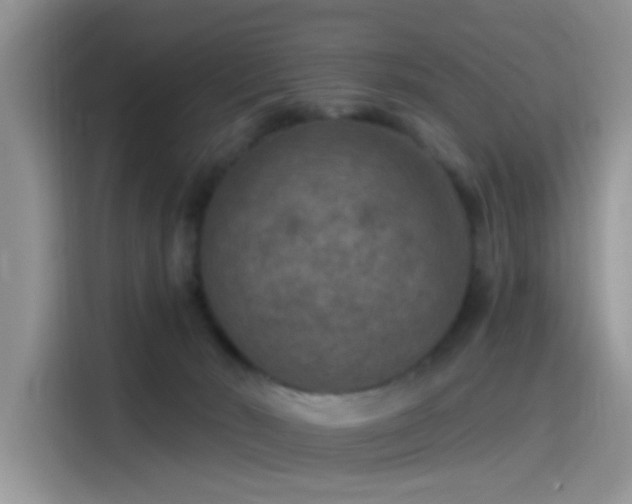 X0000115490030200911131244