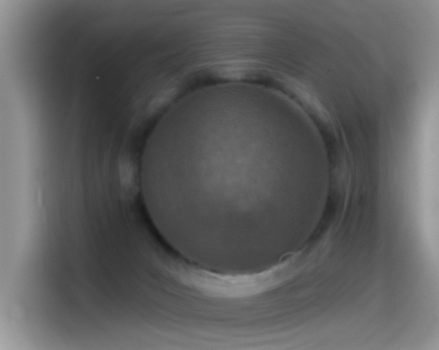 X0000115490031200911131244