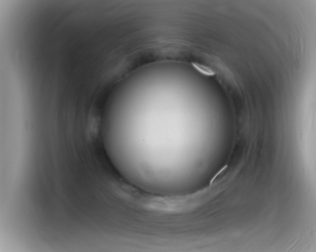 X0000115490033200911131244