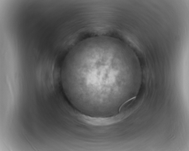 X0000115490034200911131244