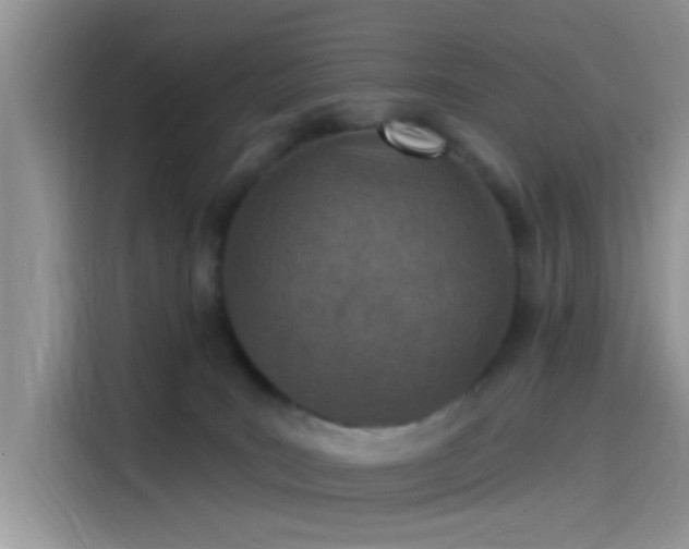 X0000115490035200911131244