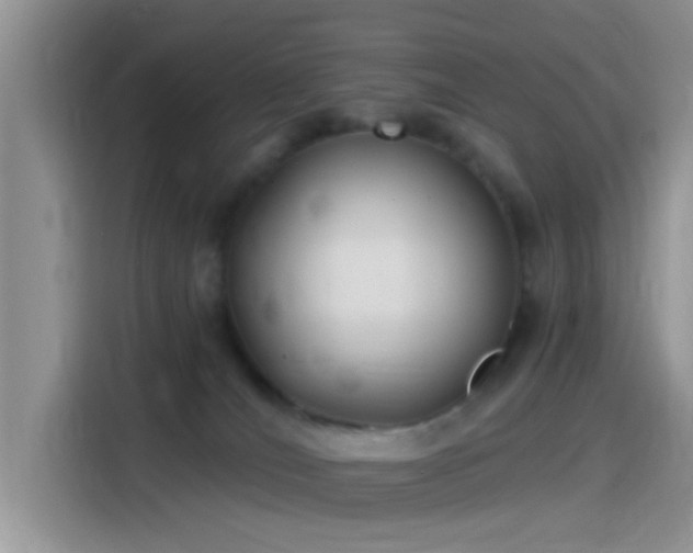 X0000115490036200911131244