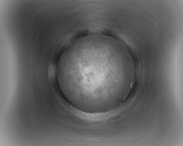 X0000115490038200911131244