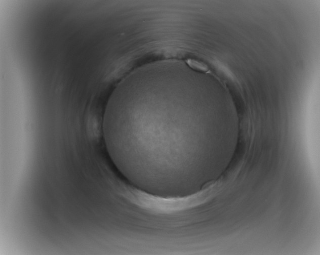 X0000115490039200911131244