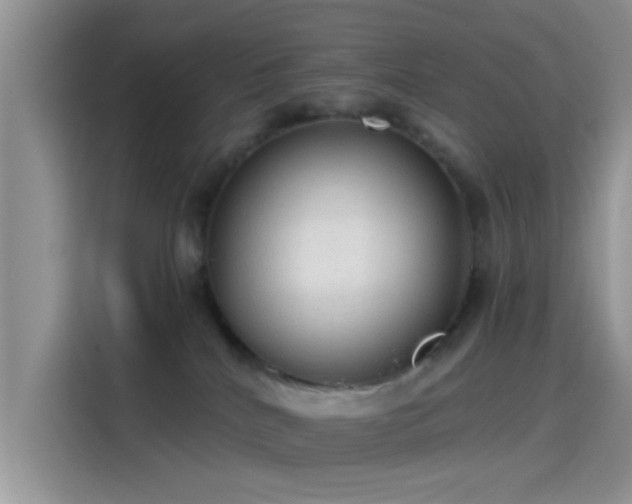 X0000115490040200911131244