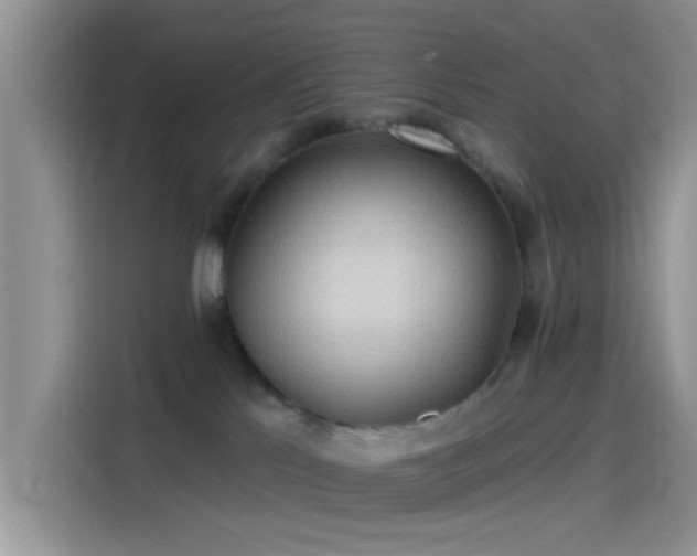 X0000115490041200911131244