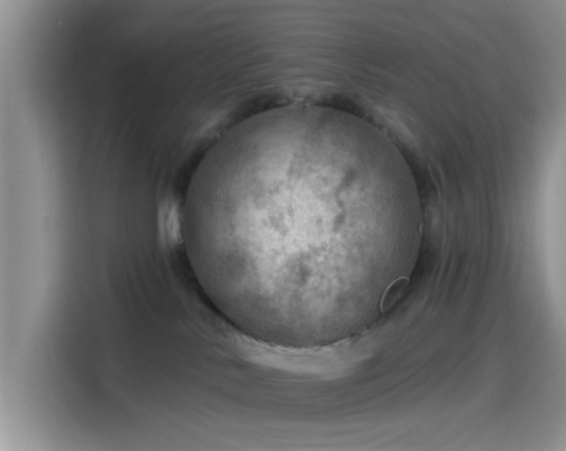 X0000115490042200911131244