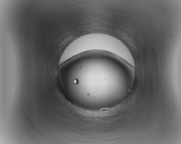 X0000115490043200911131244