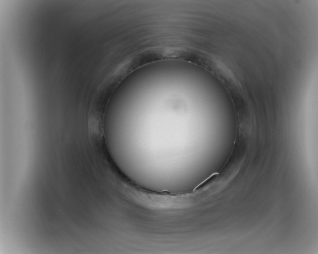 X0000115490044200911131244