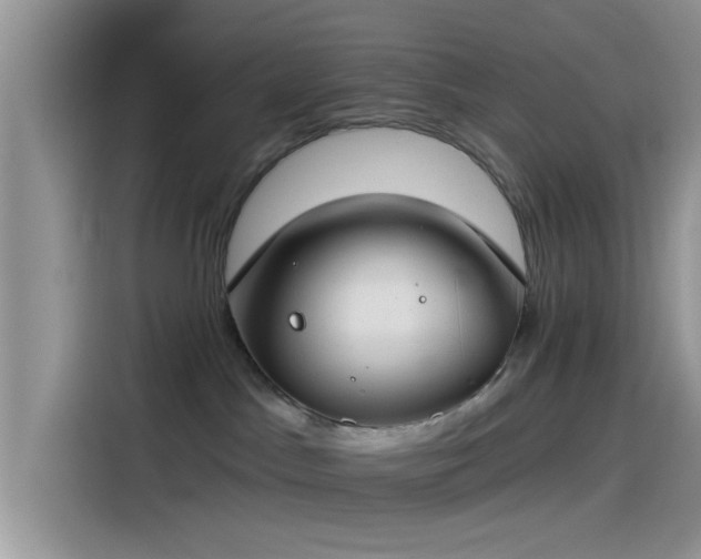 X0000115490045200911131244