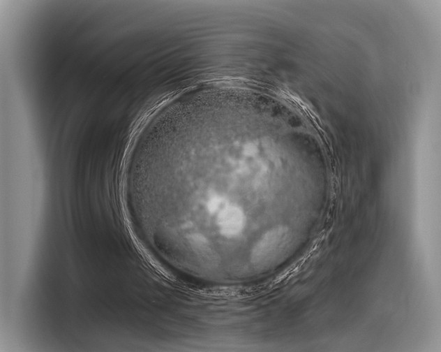 X0000115490049200911131243