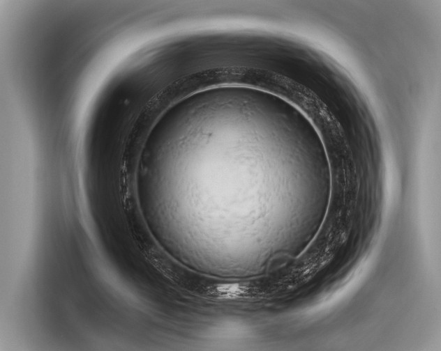 X0000115490050200911131243
