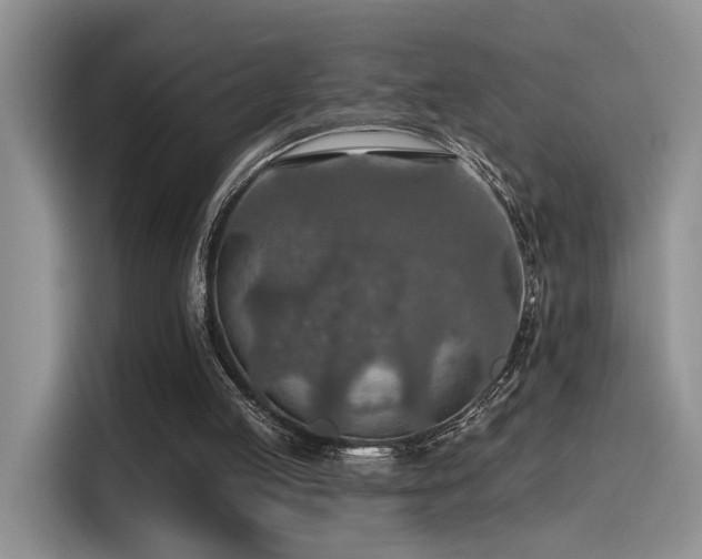 X0000115490053200911131243
