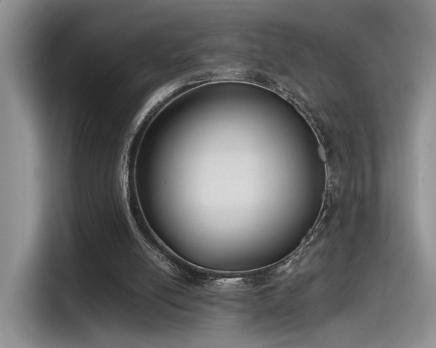 X0000115490054200911131243