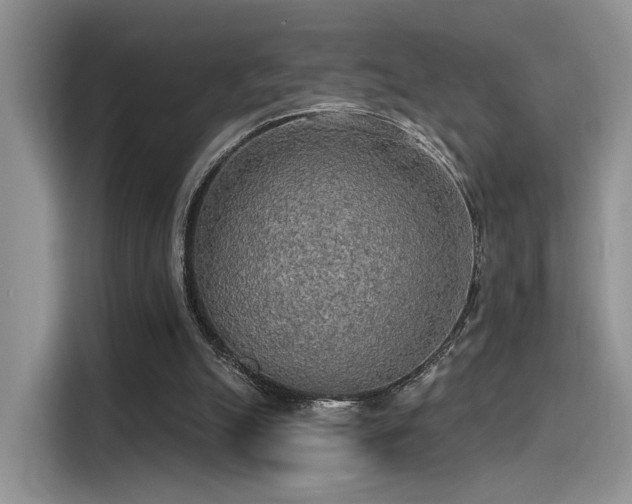 X0000115490055200911131243