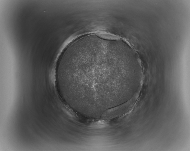 X0000115490056200911131244