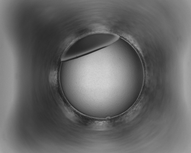 X0000115490057200911131244