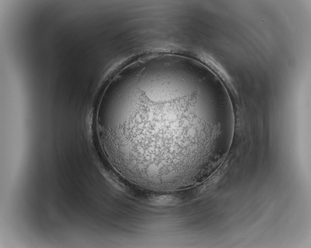 X0000115490058200911131244