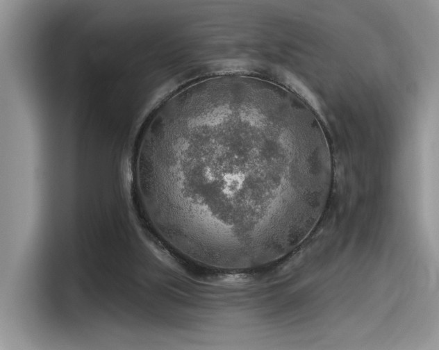 X0000115490059200911131244