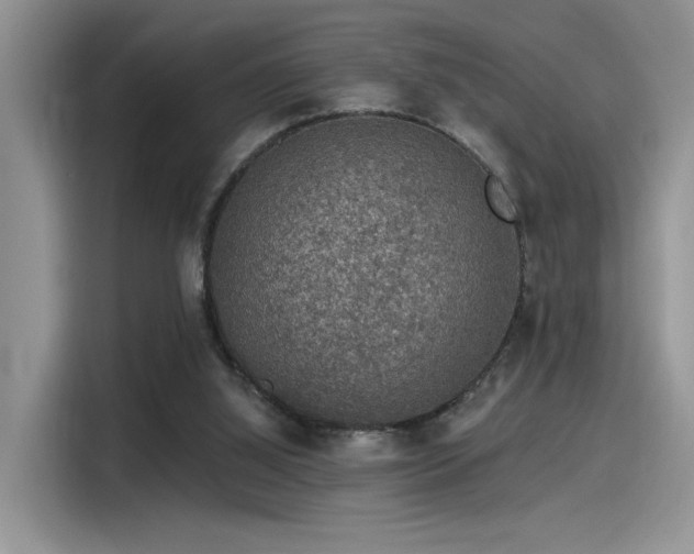 X0000115490060200911131244