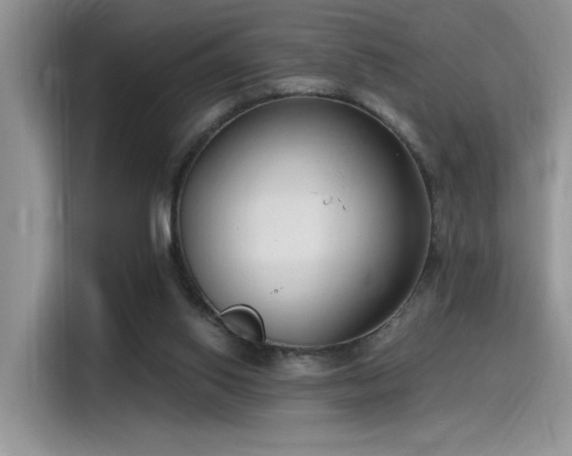 X0000115490062200911131244