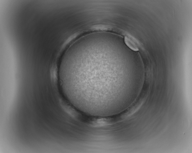 X0000115490064200911131244