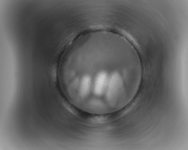 X0000115490065200911131244