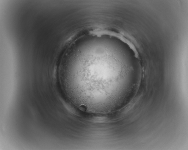 X0000115490066200911131244