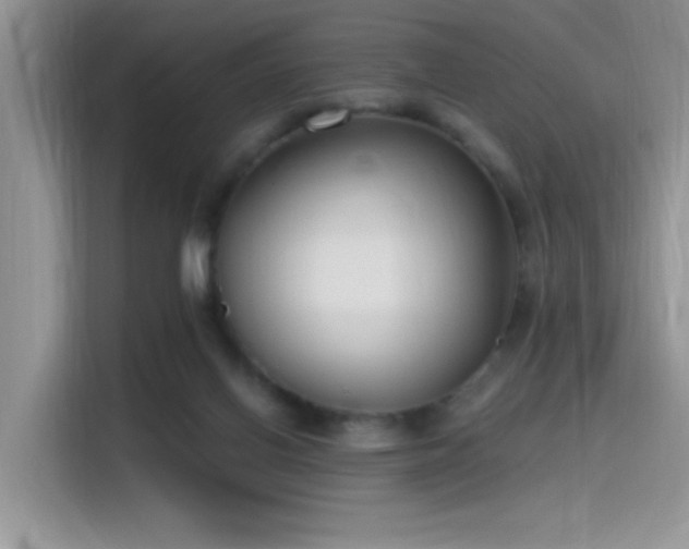 X0000115490070200911131244