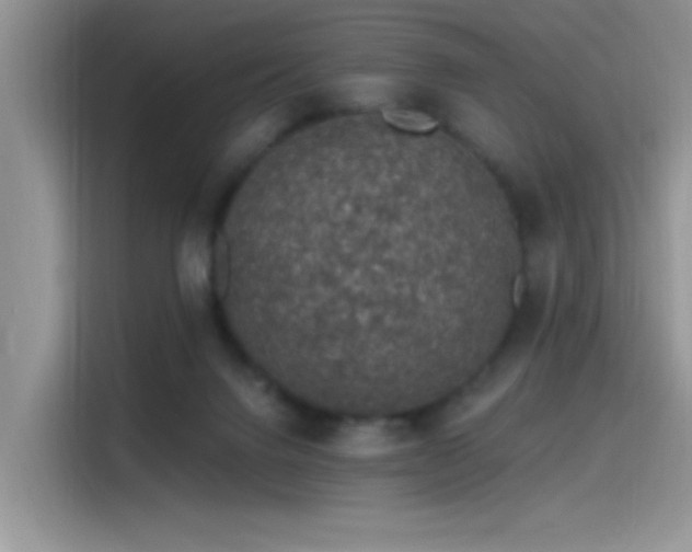 X0000115490072200911131244