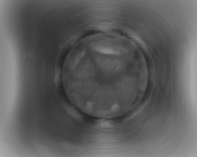 X0000115490073200911131244