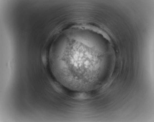 X0000115490074200911131244