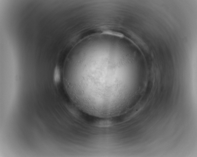 X0000115490075200911131244