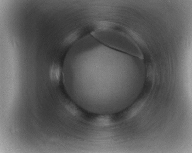X0000115490076200911131244