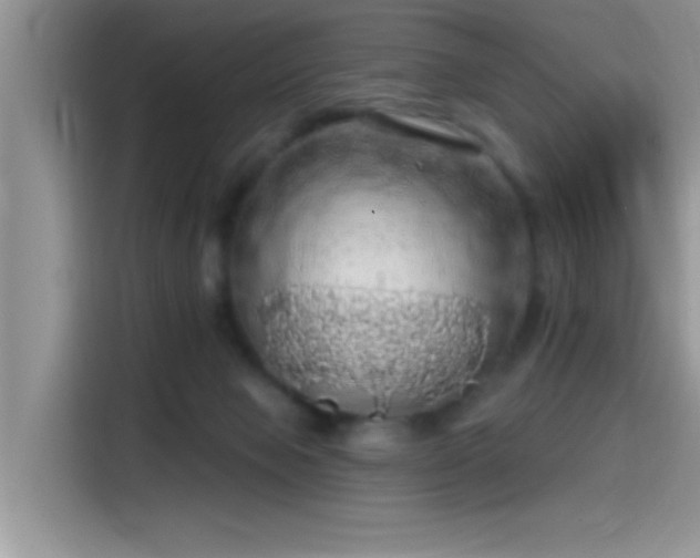 X0000115490077200911131244