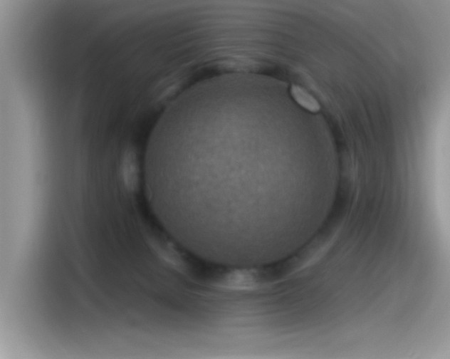 X0000115490080200911131244