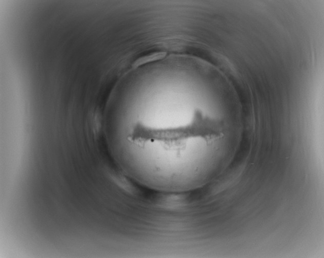 X0000115490081200911131244