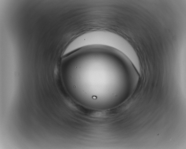 X0000115490084200911131244