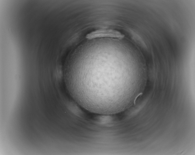 X0000115490085200911131244