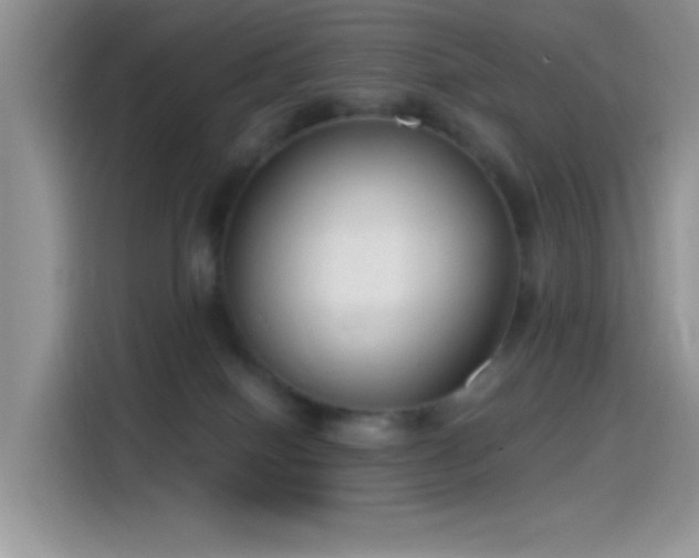 X0000115490086200911131244