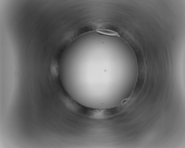 X0000115490090200911131244