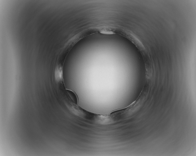 X0000115490095200911131244