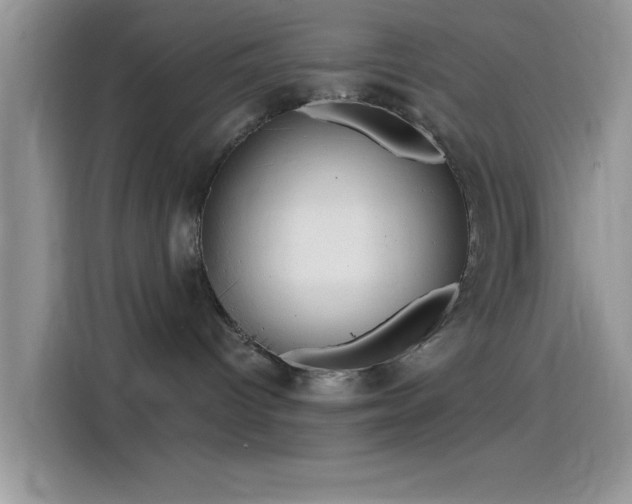 X0000115490096200911131244