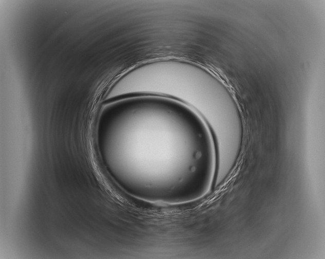 X0000115490097200911131243