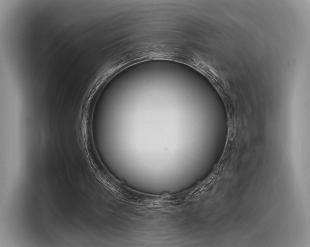 X0000115490098200911131243