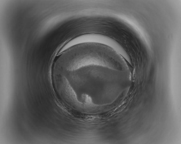 X0000115490099200911131243